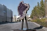 Amethyst Geode with Metal Stand - Spectacular Display! #208916-14